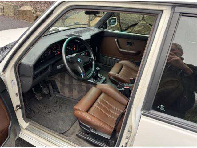 1988 BMW 5 Series (CC-2079388) for sale in Cadillac, Michigan