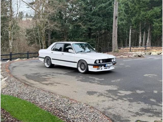 1988 BMW 5 Series (CC-2079388) for sale in Cadillac, Michigan