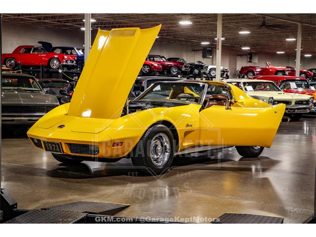 1973 Chevrolet Corvette (CC-2079491) for sale in Grand Rapids, Michigan