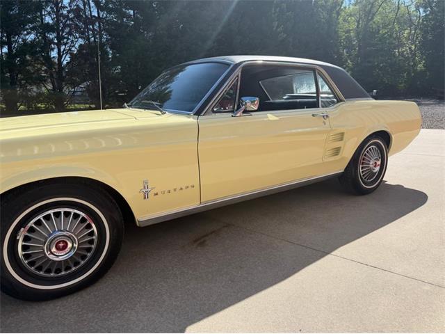 1967 Ford Mustang (CC-2079512) for sale in Newfield, New Jersey