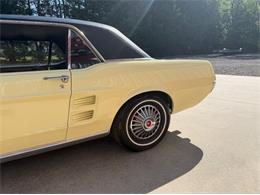 1967 Ford Mustang (CC-2079512) for sale in Newfield, New Jersey