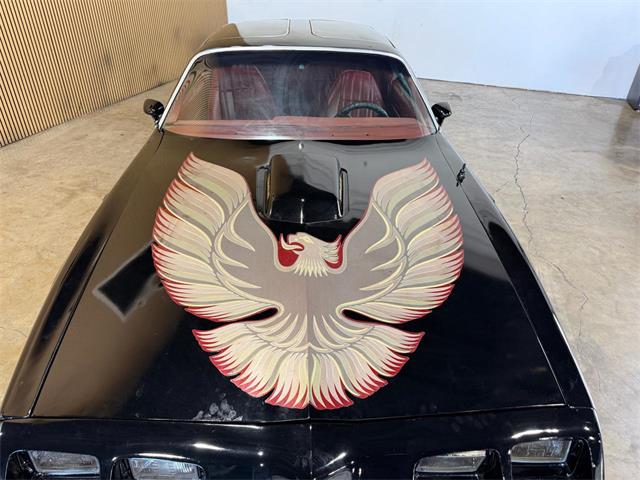 1979 Pontiac Firebird Trans Am (CC-2079543) for sale in Santa Rosa, Florida