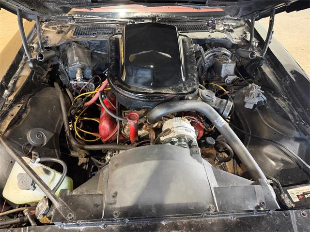 1979 Pontiac Firebird Trans Am (CC-2079543) for sale in Santa Rosa, Florida