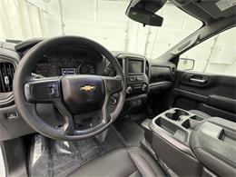 2023 Chevrolet Silverado (CC-2079560) for sale in Spring City, Pennsylvania