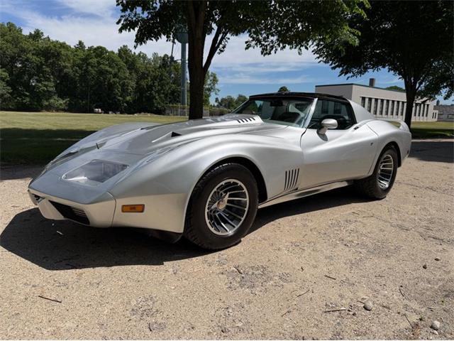 1974 Chevrolet Corvette (CC-2079561) for sale in Shelby Township, Michigan
