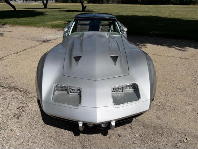 1974 Chevrolet Corvette (CC-2079561) for sale in Shelby Township, Michigan