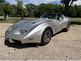 1974 Chevrolet Corvette (CC-2079561) for sale in Shelby Township, Michigan