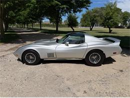 1974 Chevrolet Corvette (CC-2079561) for sale in Shelby Township, Michigan