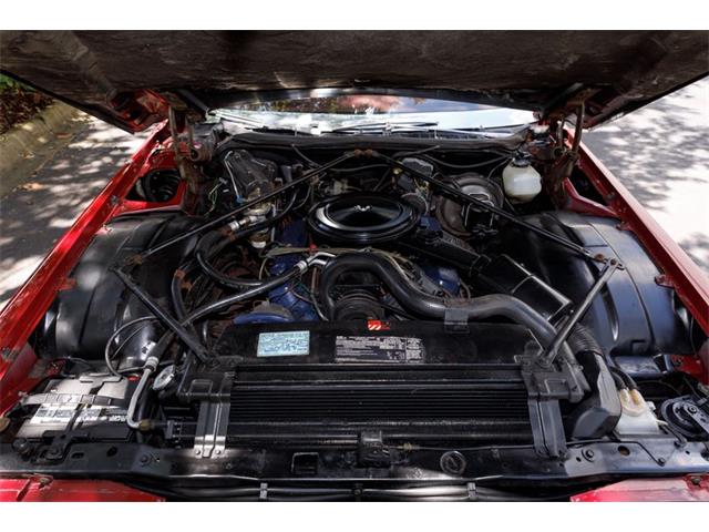 1975 Cadillac Coupe DeVille (CC-2079573) for sale in Orlando, Florida