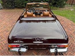 1971 Mercedes-Benz 280SL (CC-2079578) for sale in Jacksonville, Florida