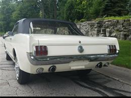 1966 Ford Mustang (CC-2079583) for sale in Mill Hall, Pennsylvania