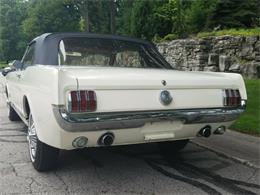 1966 Ford Mustang (CC-2079583) for sale in Mill Hall, Pennsylvania