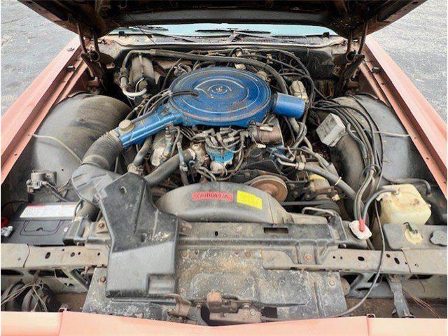 1979 Lincoln Continental (CC-2070961) for sale in Cadillac, Michigan