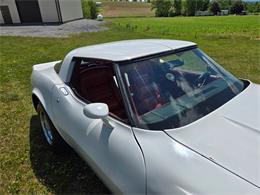 1980 Chevrolet Corvette (CC-2079639) for sale in MARTINSBURG, Pennsylvania