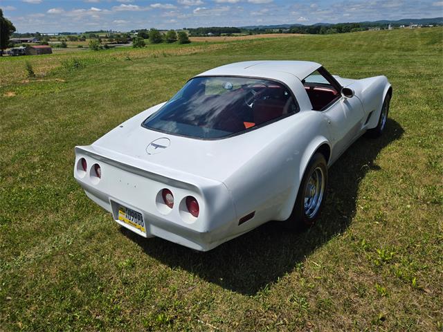 1980 Chevrolet Corvette (CC-2079639) for sale in MARTINSBURG, Pennsylvania