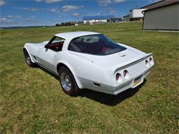 1980 Chevrolet Corvette (CC-2079639) for sale in MARTINSBURG, Pennsylvania