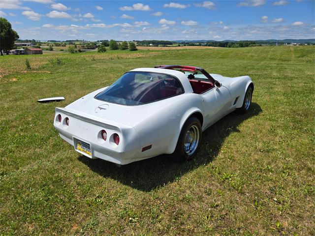 1980 Chevrolet Corvette (CC-2079639) for sale in MARTINSBURG, Pennsylvania