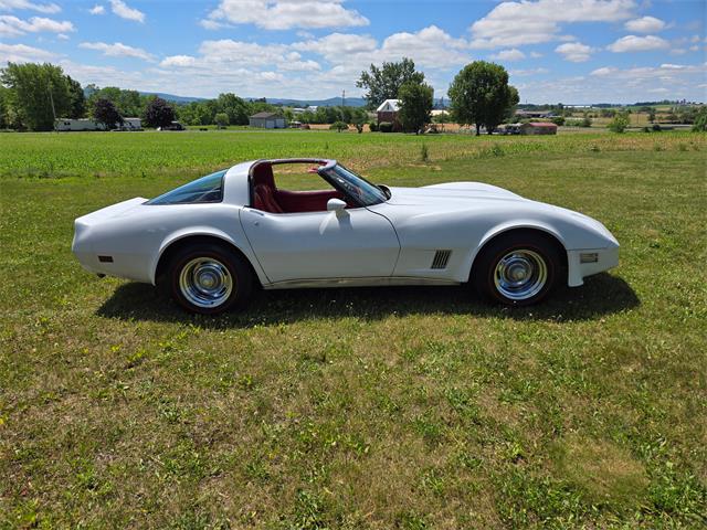 1980 Chevrolet Corvette (CC-2079639) for sale in MARTINSBURG, Pennsylvania