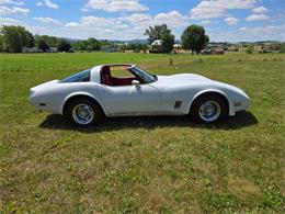 1980 Chevrolet Corvette (CC-2079639) for sale in MARTINSBURG, Pennsylvania