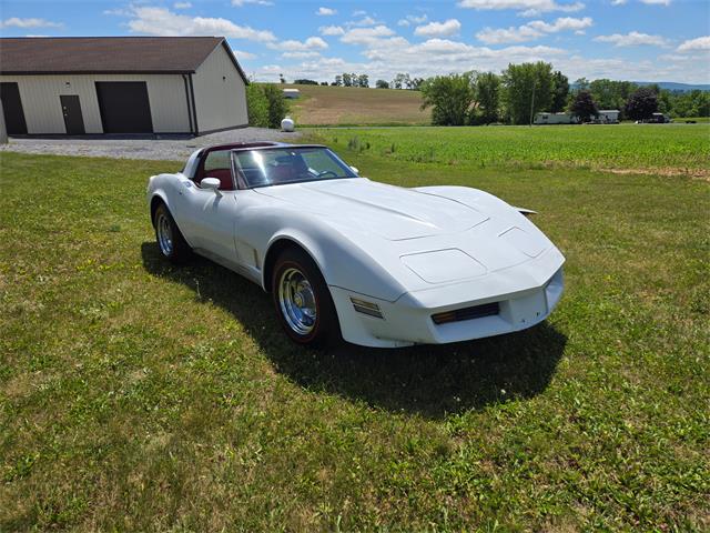 1980 Chevrolet Corvette (CC-2079639) for sale in MARTINSBURG, Pennsylvania