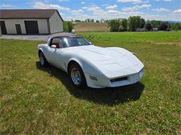 1980 Chevrolet Corvette (CC-2079639) for sale in MARTINSBURG, Pennsylvania