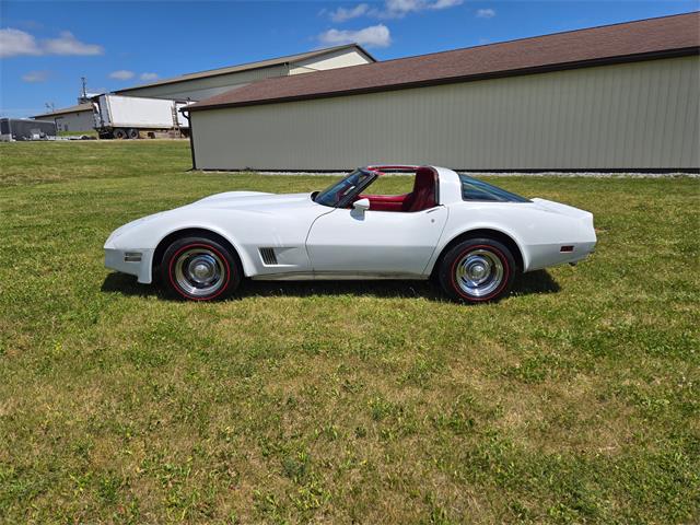 1980 Chevrolet Corvette (CC-2079639) for sale in MARTINSBURG, Pennsylvania