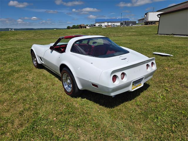 1980 Chevrolet Corvette (CC-2079639) for sale in MARTINSBURG, Pennsylvania