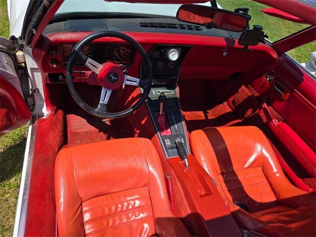 1980 Chevrolet Corvette (CC-2079639) for sale in MARTINSBURG, Pennsylvania