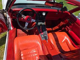 1980 Chevrolet Corvette (CC-2079639) for sale in MARTINSBURG, Pennsylvania