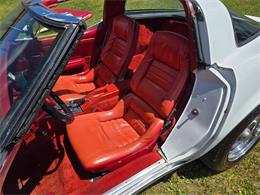 1980 Chevrolet Corvette (CC-2079639) for sale in MARTINSBURG, Pennsylvania