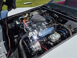 1980 Chevrolet Corvette (CC-2079639) for sale in MARTINSBURG, Pennsylvania