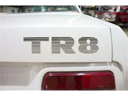 1980 Triumph TR8 (CC-2079653) for sale in Kentwood, Michigan