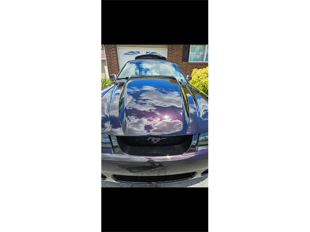 2000 Ford Mustang (CC-2079658) for sale in Morgantown, Pennsylvania