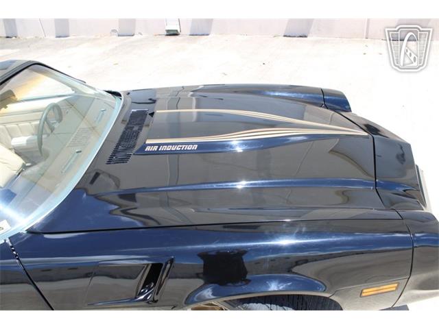 1981 Chevrolet Camaro (CC-2079694) for sale in Houston, Texas