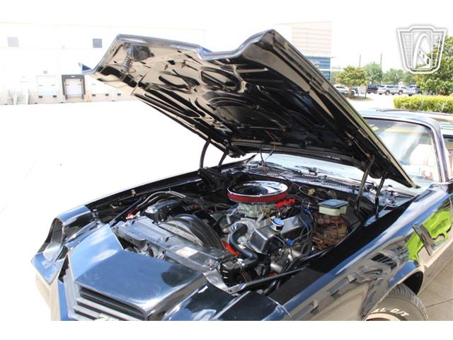 1981 Chevrolet Camaro (CC-2079694) for sale in Houston, Texas