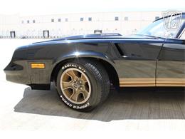 1981 Chevrolet Camaro (CC-2079694) for sale in Houston, Texas