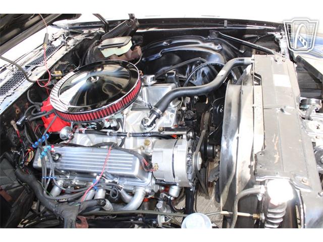 1981 Chevrolet Camaro (CC-2079694) for sale in Houston, Texas
