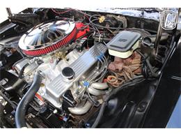 1981 Chevrolet Camaro (CC-2079694) for sale in Houston, Texas