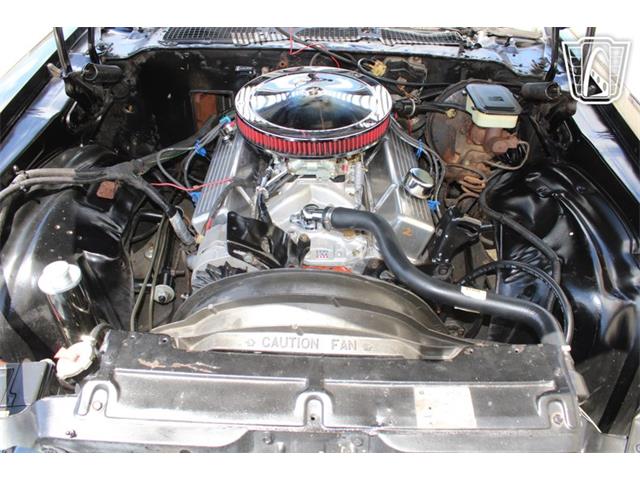 1981 Chevrolet Camaro (CC-2079694) for sale in Houston, Texas