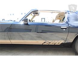 1981 Chevrolet Camaro (CC-2079694) for sale in Houston, Texas