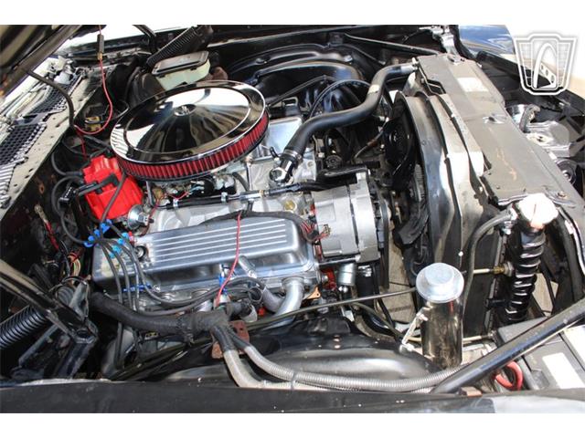 1981 Chevrolet Camaro (CC-2079694) for sale in Houston, Texas