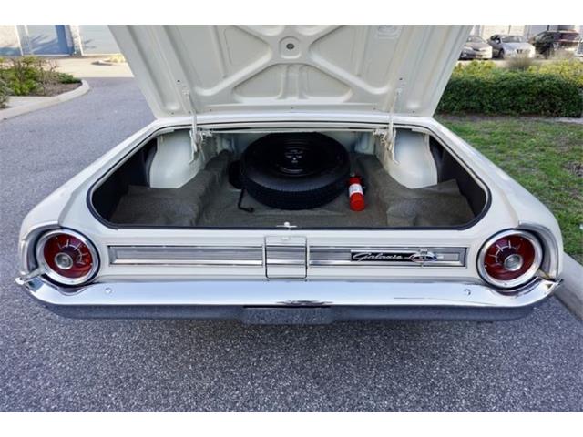 1964 Ford Galaxie (CC-2079720) for sale in Cadillac, Michigan