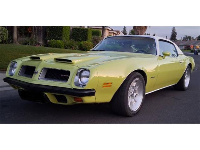 1974 Pontiac Firebird (CC-2079728) for sale in Cadillac, Michigan