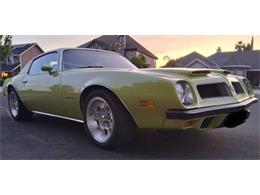 1974 Pontiac Firebird (CC-2079728) for sale in Cadillac, Michigan