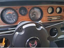 1974 Pontiac Firebird (CC-2079728) for sale in Cadillac, Michigan