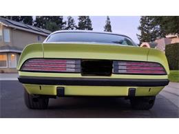 1974 Pontiac Firebird (CC-2079728) for sale in Cadillac, Michigan