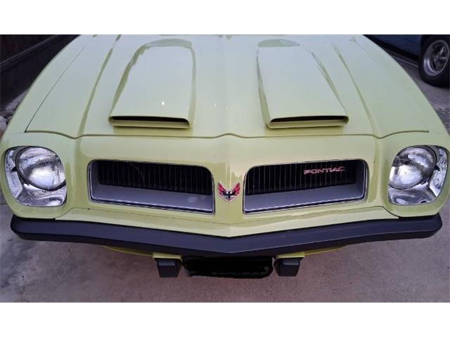 1974 Pontiac Firebird (CC-2079728) for sale in Cadillac, Michigan