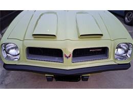 1974 Pontiac Firebird (CC-2079728) for sale in Cadillac, Michigan