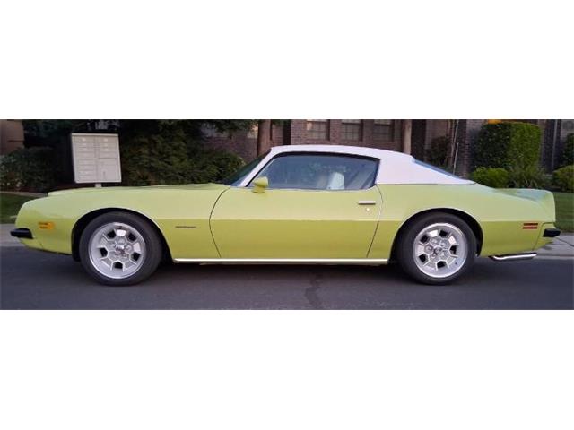 1974 Pontiac Firebird (CC-2079728) for sale in Cadillac, Michigan