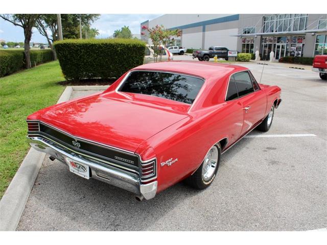 1967 Chevrolet Chevelle Malibu (CC-2079769) for sale in Sarasota, Florida
